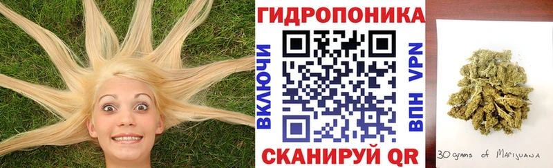 Купить  Заинск  Марихуана марихуана 